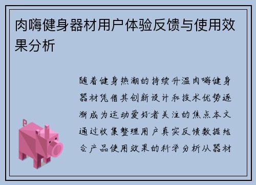 肉嗨健身器材用户体验反馈与使用效果分析